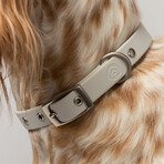 Diggs Buckle Collar // Medium (Ash)