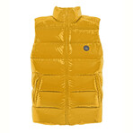 Victor // Old Gold (M)