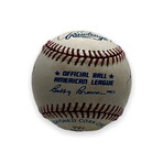 500 Homerun Club Members // Signed Baseball // Mickey Mantle, Hank Aaron, Willie Mays, Ted Williams, Ernie Banks, Frank Robinson, Eddie Mathews, Reggie Jackson, Harmon Killebrew, Mike Schmidt, Willie McCovey