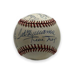 500 Homerun Club Members // Signed Baseball // Mickey Mantle, Hank Aaron, Willie Mays, Ted Williams, Ernie Banks, Frank Robinson, Eddie Mathews, Reggie Jackson, Harmon Killebrew, Mike Schmidt, Willie McCovey
