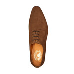 Power Plain Derby // Honey Brown (US: 7)