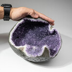 Genuine Amethyst Crystal Cluster Geode // Ver. 2