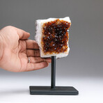 Genuine Citrine Crystal Cluster + Metal Stand // Ver. 1