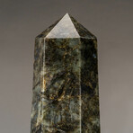 Genuine Polished Large Labradorite Obelisk