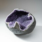 Genuine Amethyst Crystal Cluster Geode // Ver. 2