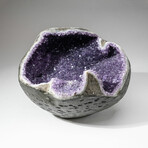 Genuine Amethyst Crystal Cluster Geode // Ver. 2