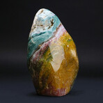 Genuine Polished Ocean Jasper Freeform