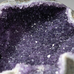 Genuine Amethyst Crystal Cluster Geode // Ver. 2