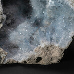 Genuine Giant Blue Celestite Cluster Geode