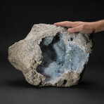 Genuine Giant Blue Celestite Cluster Geode