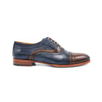 Eryx Dress Shoes // Brown + Navy (Euro: 40)