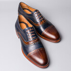 Eryx Dress Shoes // Brown + Navy (Euro: 40)