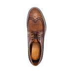 Teide Dress Shoe // Tobacco (Euro: 46)