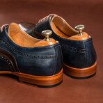 Eryx Dress Shoes // Brown + Navy (Euro: 40)