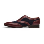 Spectator Wingtip Oxford // Burgundy & Navy (US: 8)