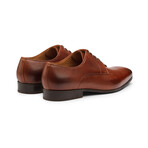 Plain Toe Derby // Brown (US: 10)