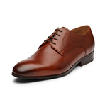 Plain Toe Derby // Brown (US: 10)