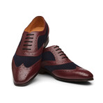 Spectator Wingtip Oxford // Burgundy & Navy (US: 8)