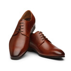 Plain Toe Derby // Brown (US: 10)