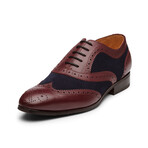 Spectator Wingtip Oxford // Burgundy & Navy (US: 8)