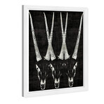 Wynwood Studio // Antelope (Black Frame)