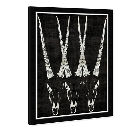 Wynwood Studio // Antelope (Black Frame)