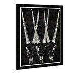 Wynwood Studio // Antelope (Black Frame)