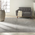 CK50 Balian // Silver + Gray (5' x 7')