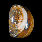 Ocean Jasper Free Form v1