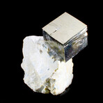 Single Cubic Pyrite Crystal on Mini-Matrix