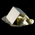 Single Cubic Pyrite Crystal on Mini-Matrix