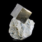 Single Cubic Pyrite Crystal on Mini-Matrix