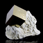 Single Cubic Pyrite Crystal on Mini-Matrix