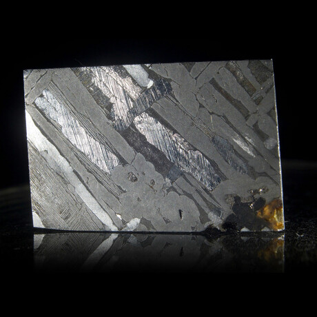 Seymchan Iron Meteorite + Olivine // Self Standing