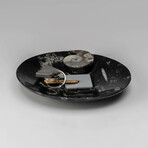 Genuine Polished Oval Orthoceras Fossil Dish