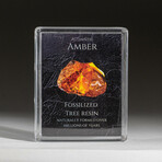 Genuine Amber In Acrylic Display Box