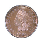 1884 Indian Head Cent // PCGS PR66BN CAC // Wood Presentation Box