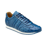 Parker Shoes // Royal Blue (US: 9)