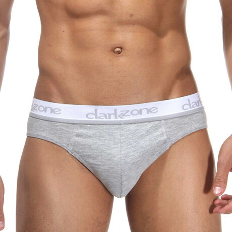 Zaiden Briefs // Gray (Small)
