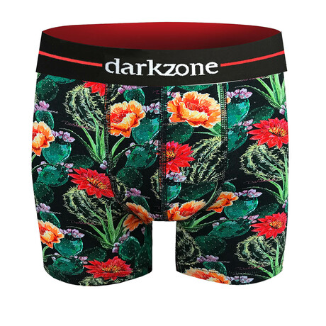 Quinn Boxers // Multicolor (Small)