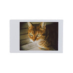 SL42 Camera (Silver // Without Lens)