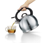 Stainless Steel Kettle // 3.2 qt (Burgundy)