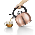 Stainless Steel Kettle // 3.2 qt (Burgundy)