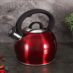 Stainless Steel Kettle // 3.2 qt (Burgundy)