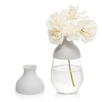 Blomma Vase // Set of 2 // Gray