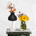 Blomma Vase // Set of 2 // Black