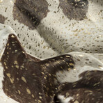 Natural Scotland Cowhide Rug // 5' X 7' (Black + Gold)