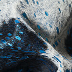 Natural Scotland Cowhide Rug // 6' X 7' (Black + Gold)