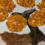 Citrine Gemstone Tree on Citrine Matrix // The Calming Tree // 1 lb