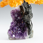 Citrine Gemstone Tree on Amethyst Matrix // The Money Tree // 1.25 lb